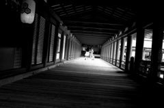 Hiroshima109-宮島『回廊』