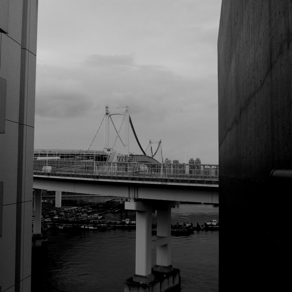 Tokyo295
