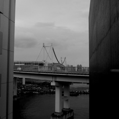 Tokyo295