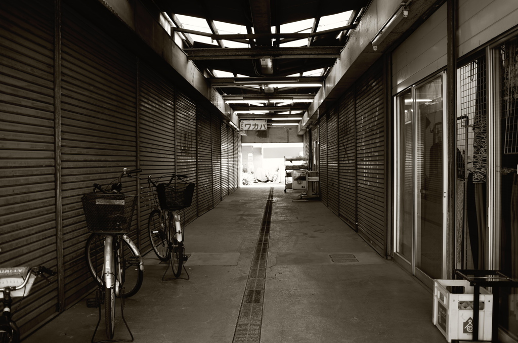 Tokyo247