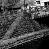 Nagasaki174-長崎『芊原橋』