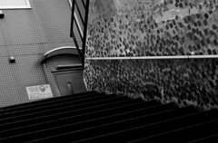 Tokyo302