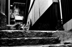 Hiroshima24-尾道『路地のブチ』