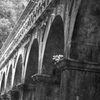 Kyoto33