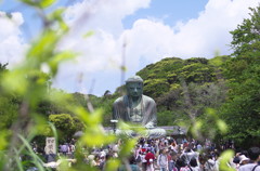 Trip to Kamakura19