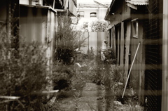 Tokyo249