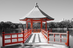 Fukuoka6