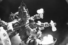 Kyoto43