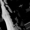 Tokyo329