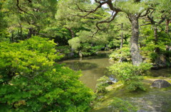 Kyoto4