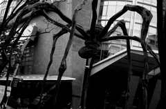 Tokyo1112-六本木『Spider1』