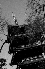 Tokyo336