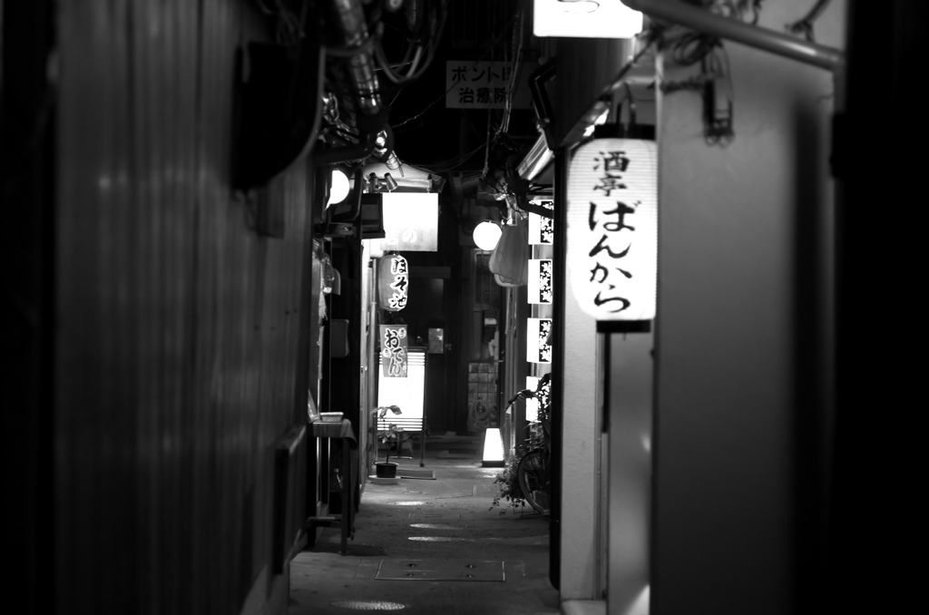 Kyoto25