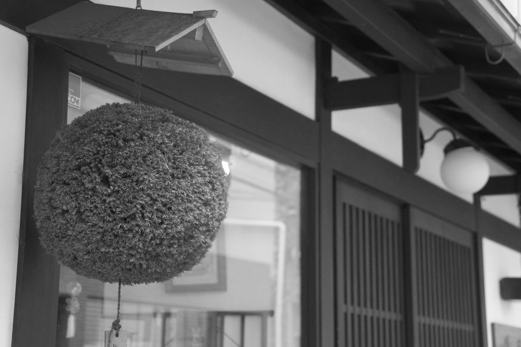 Kyoto7