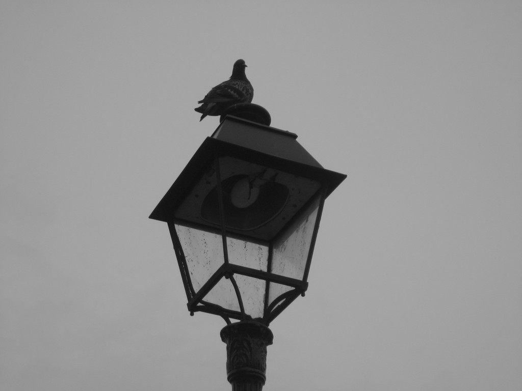 Paris5