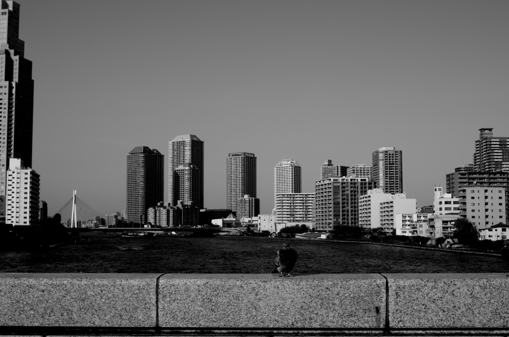 Tokyo213
