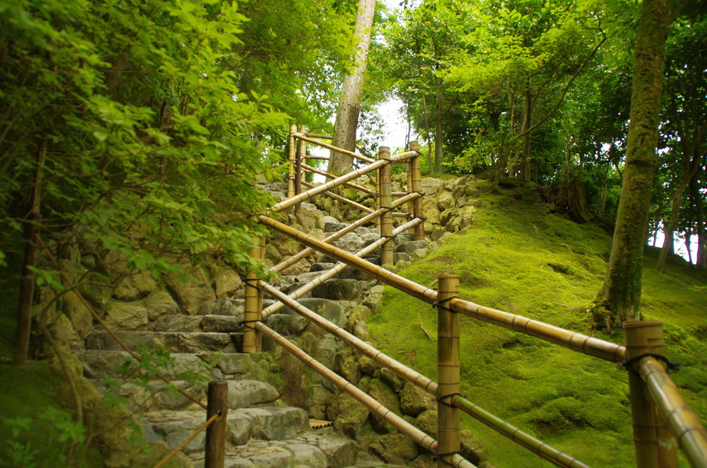 Kyoto5