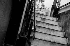 Tokyo636-早稲田 『階段』