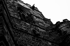 Northampton61