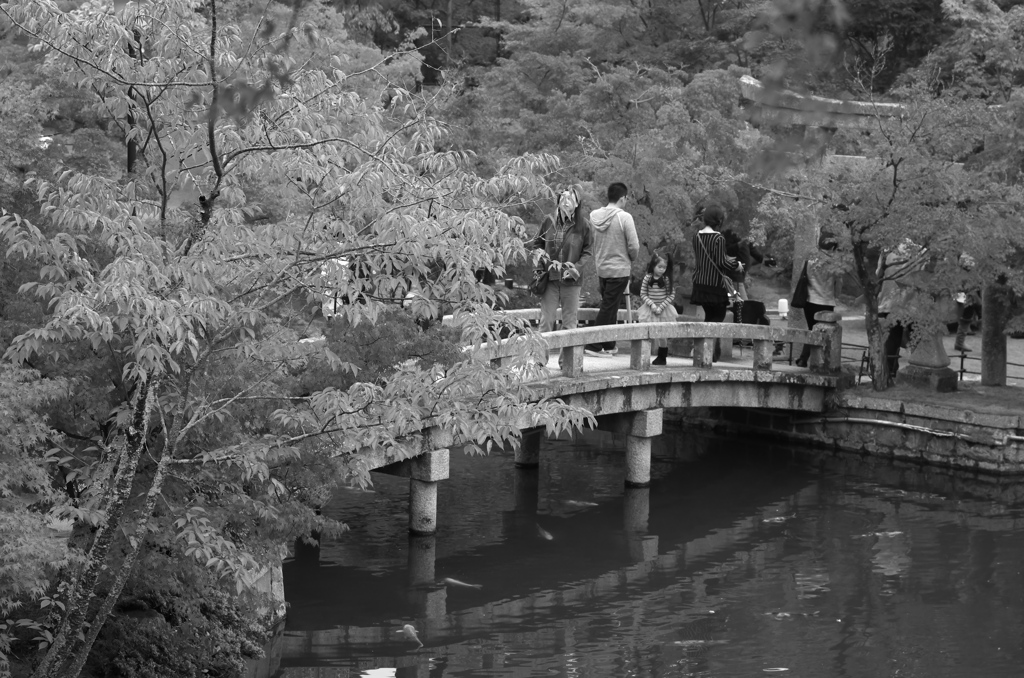 Kyoto31