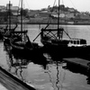 PORTO『港2』