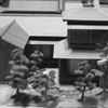 Edo4