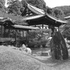Kyoto16