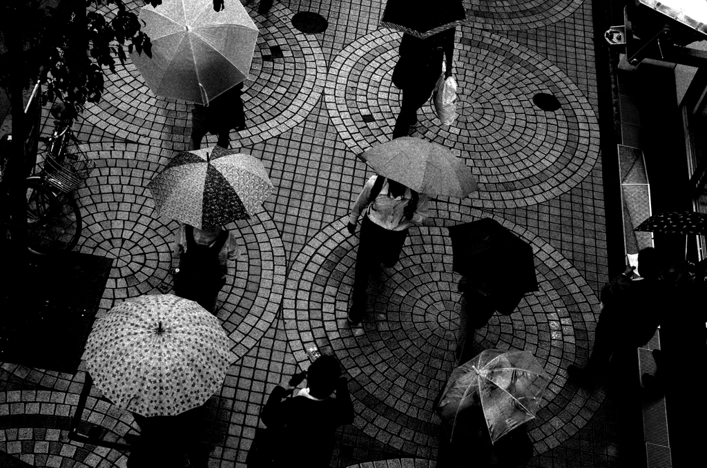 Tokyo687-新宿 『Rainy Flower』