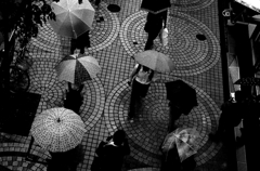 Tokyo687-新宿 『Rainy Flower』