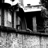 Tokyo752-本郷 『Ghost House』