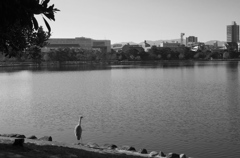 Fukuoka4