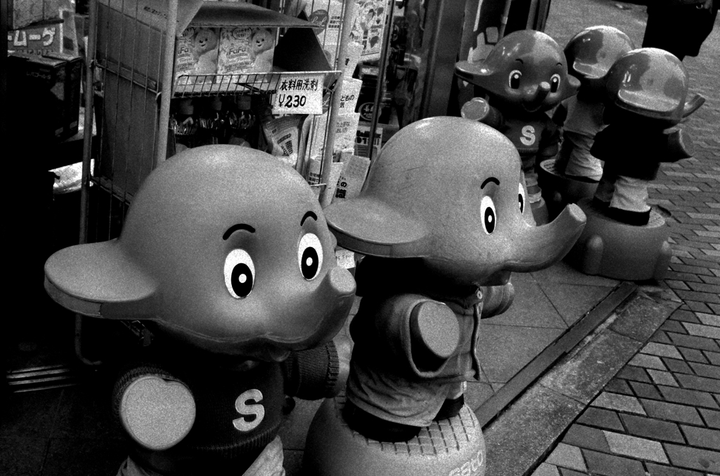Tokyo1126-渋谷『象の群れ』