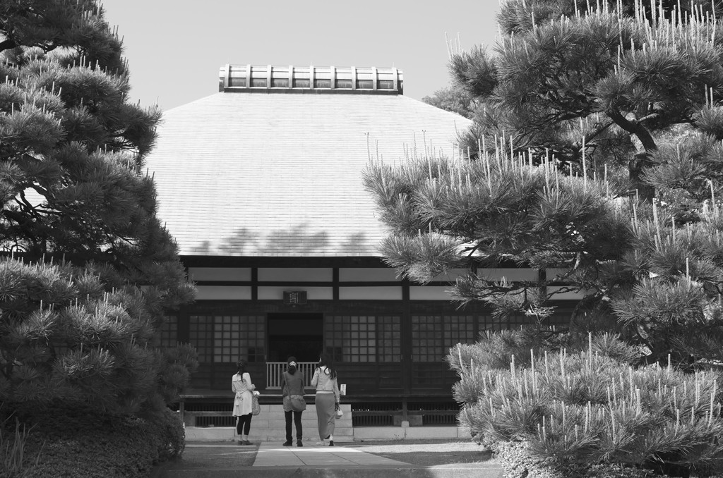 Trip to Kamakura36