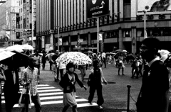 Tokyo822-銀座 『Crossroad』