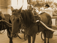 Mallorca4