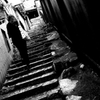 Hiroshima59-尾道『タイル小路への階段』