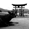 Hiroshima105-宮島『Miyajima』