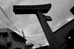 Nagasaki106-長崎『一本柱鳥居』