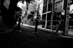 Tokyo384