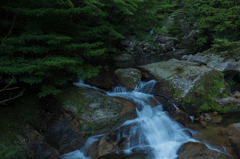 流れ