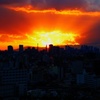 大晦日の夕陽