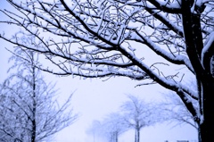 東京雪景色