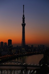東京スカイツリー　朝焼け