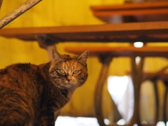 テントの中で見つけた！