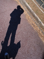 野良人間と野良猫