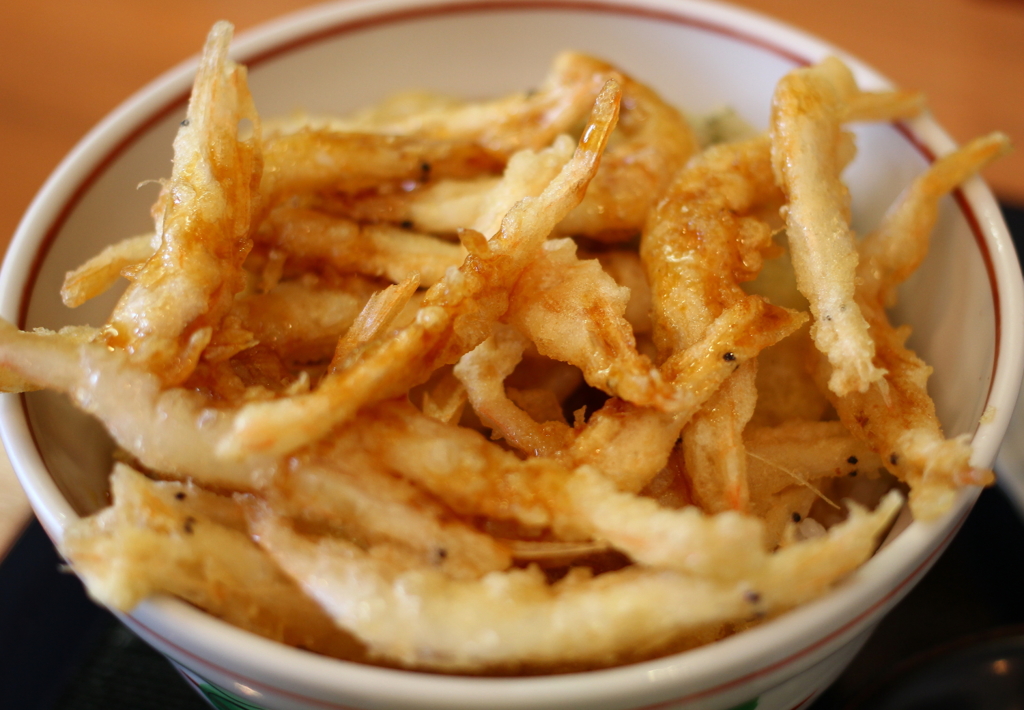 白エビ丼