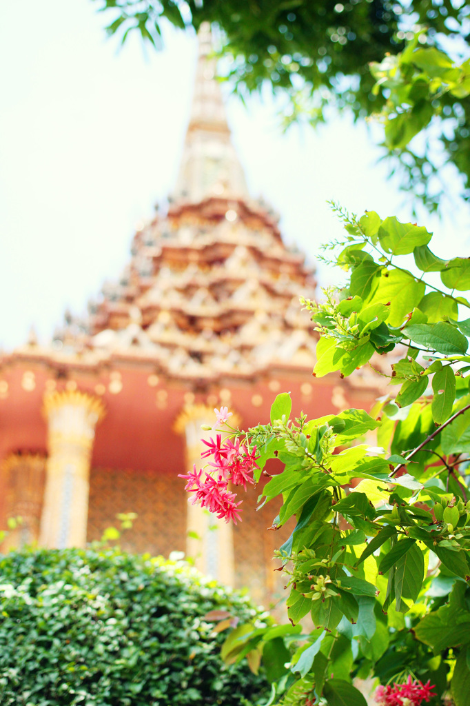 タイ　バンコク　王宮の寺院に咲く花