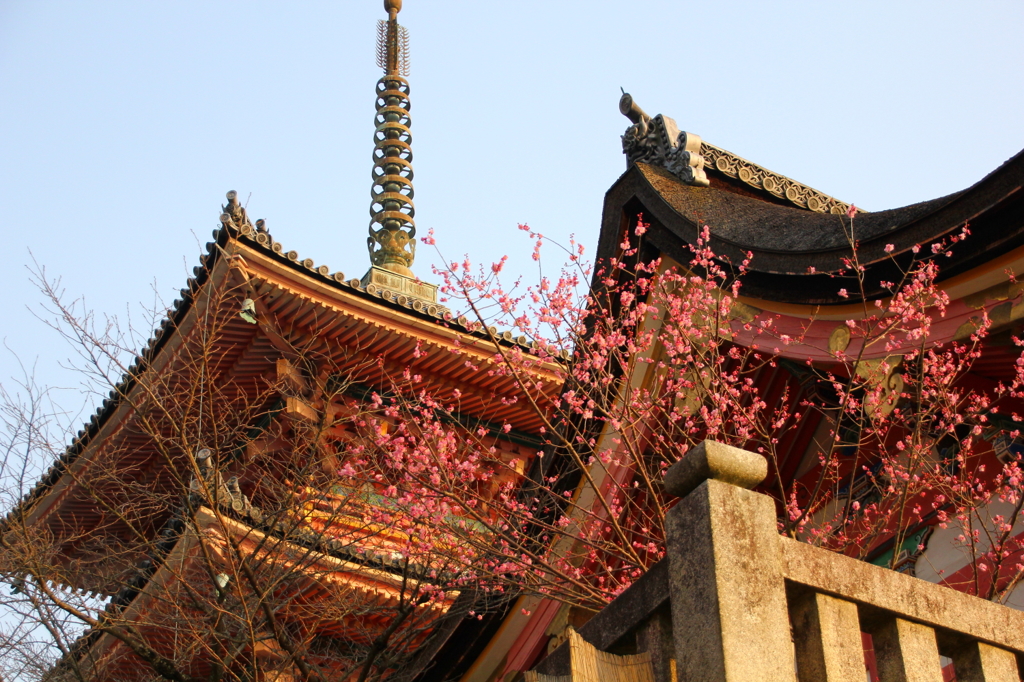 清水寺、三重塔