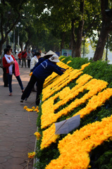 ハノイ　2014年を祝う花植え