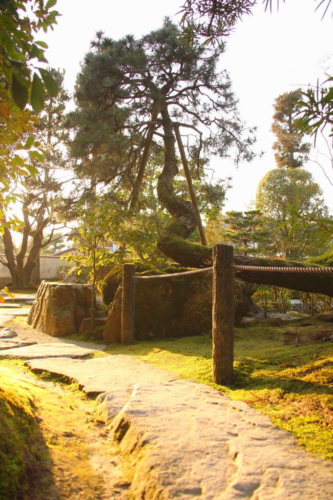 南禅寺